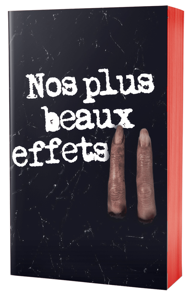 Recueil "Nos Plus Beaux Effets II" éditions faute de frappe 2024