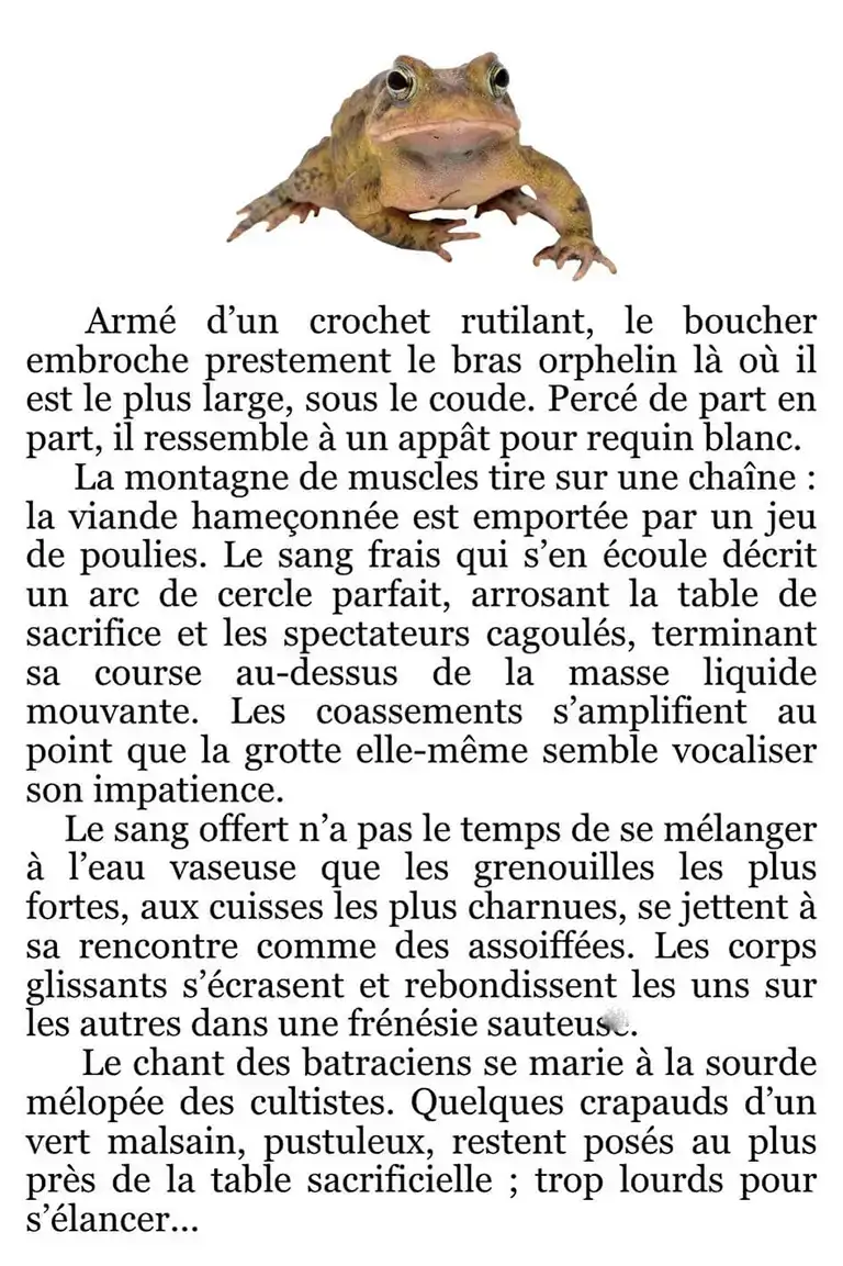 extrait de croak creek maniacs